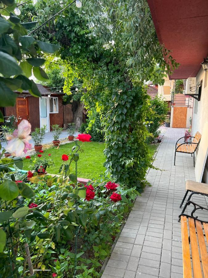 Vila Iris Mamaia Nord Năvodari Buitenkant foto